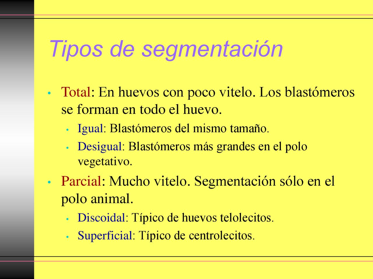 Tipos de segmentación Total: En huevos con poco vitelo. Los blastómeros se forman en todo el huevo.