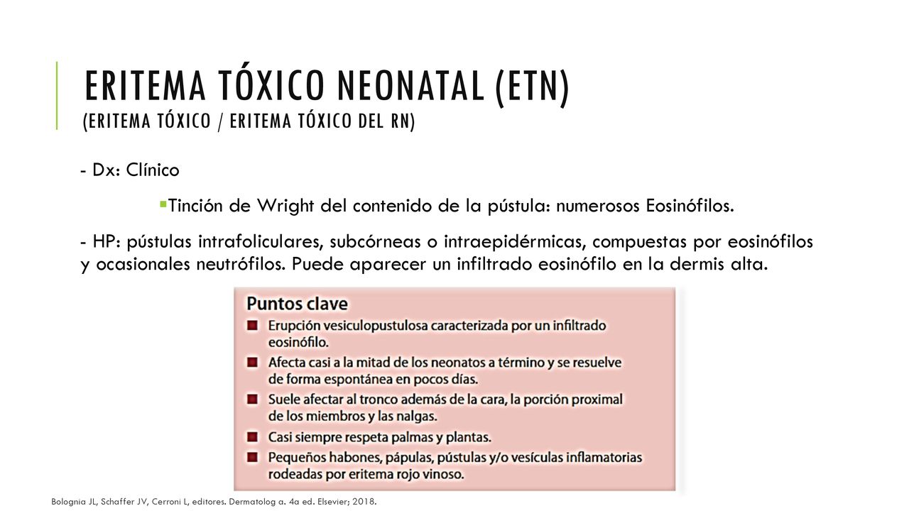 Eritema tóxico neonatal (etn) (Eritema tóxico / Eritema tóxico del rn)