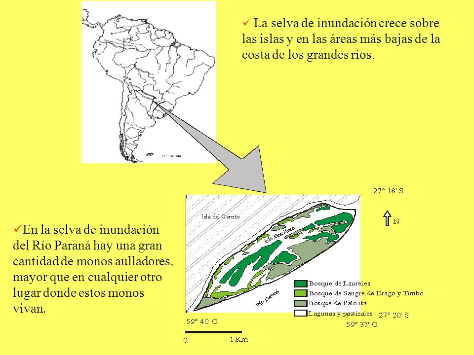 las islas y en las áreas más bajas de la costa de los grandes ríos.