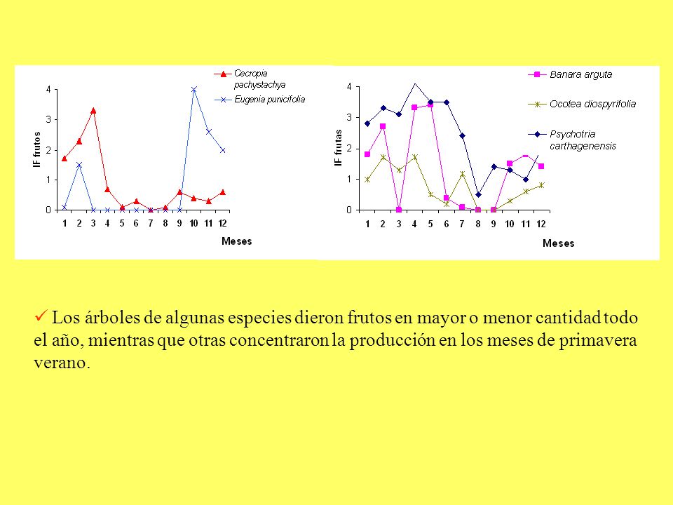 Los árboles de algunas especies dieron frutos en mayor o menor cantidad todo el año, mientras que otras concentraron la producción en los meses de primavera verano.