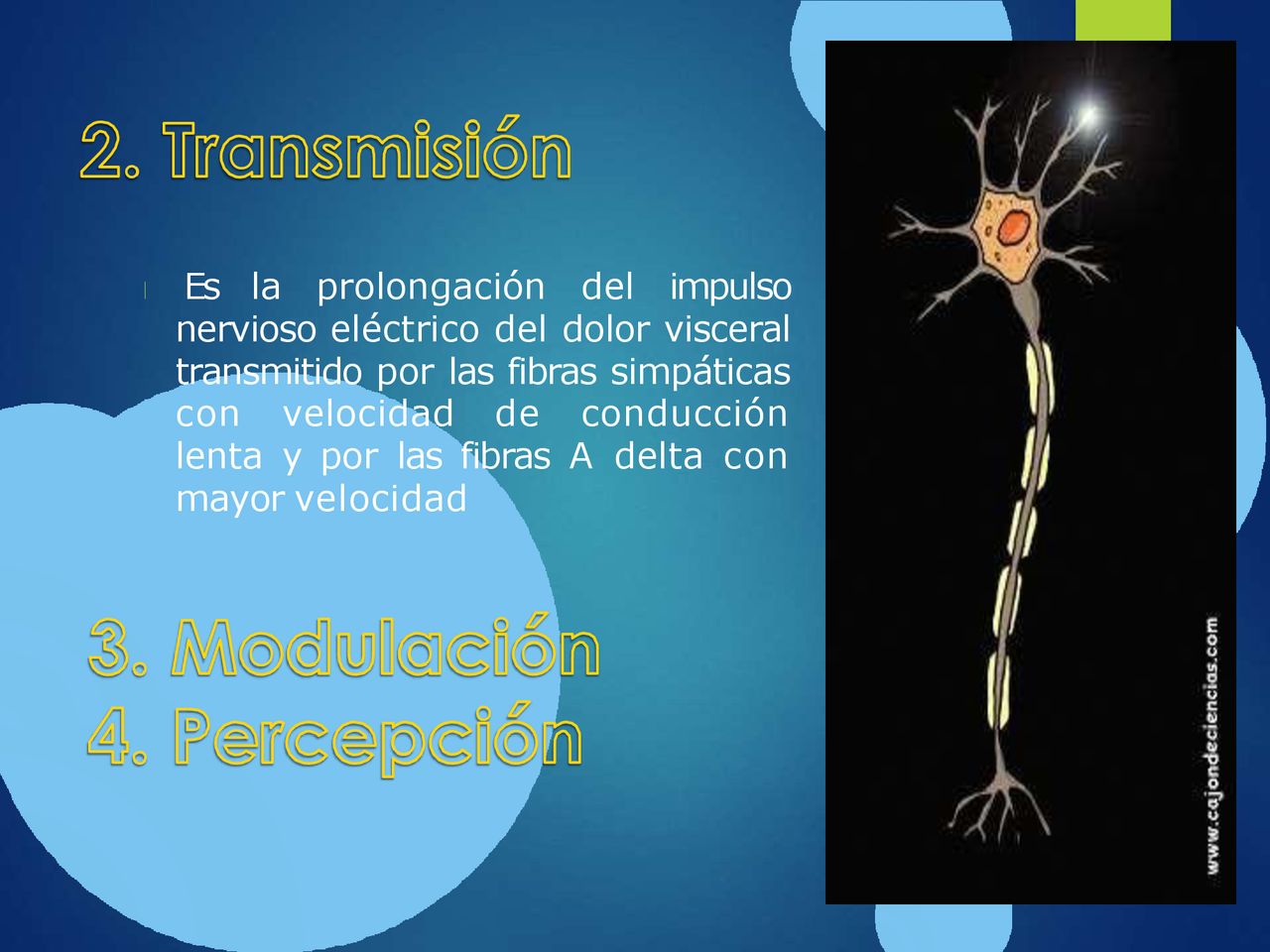  Es la prolongación del impulso nervioso eléctrico del dolor visceral transmitido por las fibras simpáticas con velocidad de conducción lenta y por las fibras A delta con mayor velocidad