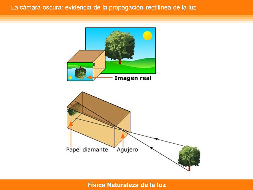 La cámara oscura: evidencia de la propagación rectilínea de la luz