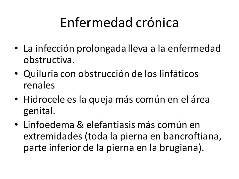 Enfermedad crónica La infección prolongada lleva a la enfermedad obstructiva. Quiluria con obstrucción de los linfáticos renales.