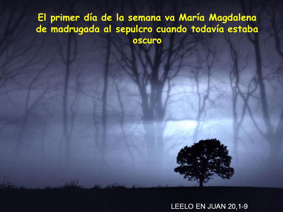 El primer día de la semana va María Magdalena de madrugada al sepulcro cuando todavía estaba oscuro