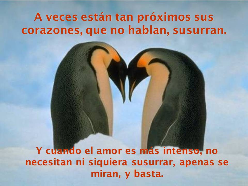 A veces están tan próximos sus corazones, que no hablan, susurran.