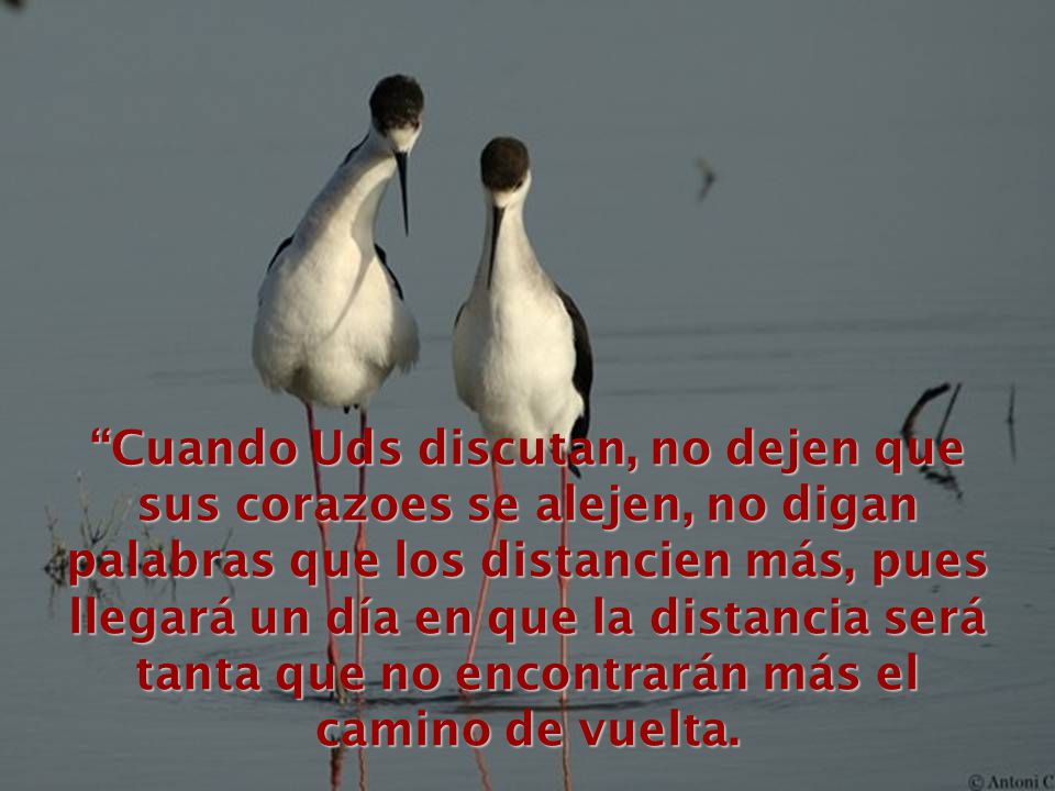 Cuando Uds discutan, no dejen que sus corazoes se alejen, no digan palabras que los distancien más, pues llegará un día en que la distancia será tanta que no encontrarán más el camino de vuelta.