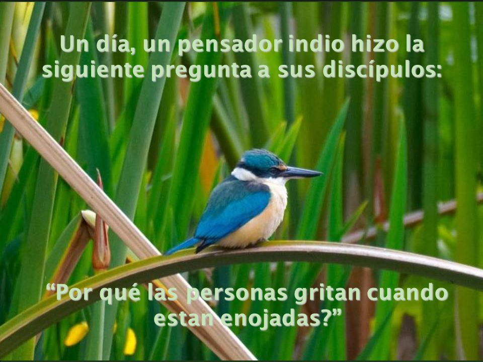 Un día, un pensador indio hizo la siguiente pregunta a sus discípulos: