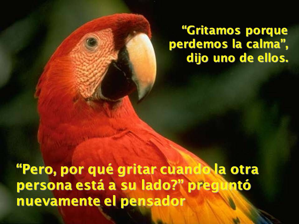 Gritamos porque perdemos la calma , dijo uno de ellos.