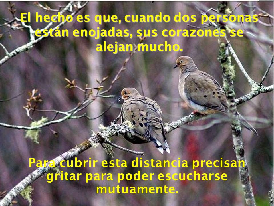 El hecho es que, cuando dos personas están enojadas, sus corazones se alejan mucho.