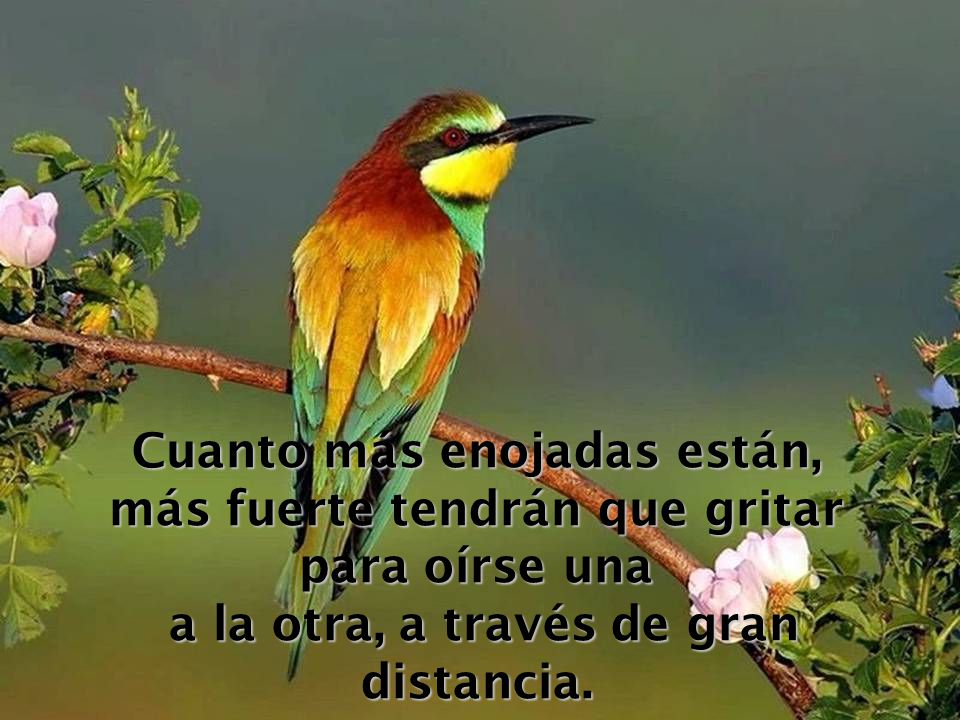 Cuanto más enojadas están, más fuerte tendrán que gritar para oírse una a la otra, a través de gran distancia.