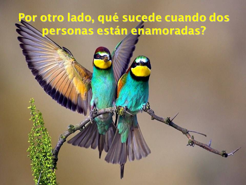 Por otro lado, qué sucede cuando dos personas están enamoradas
