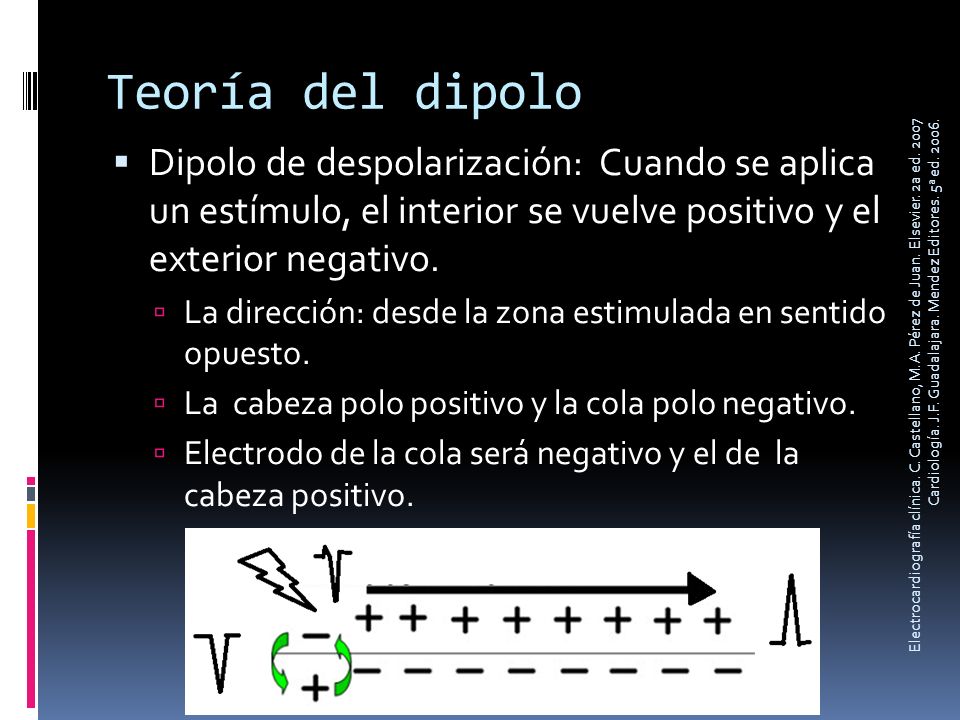 Teoría del dipolo Dipolo de despolarización: Cuando se aplica un estímulo, el interior se vuelve positivo y el exterior negativo.