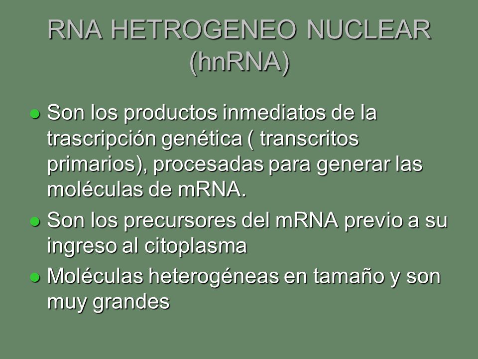 RNA HETROGENEO NUCLEAR (hnRNA)