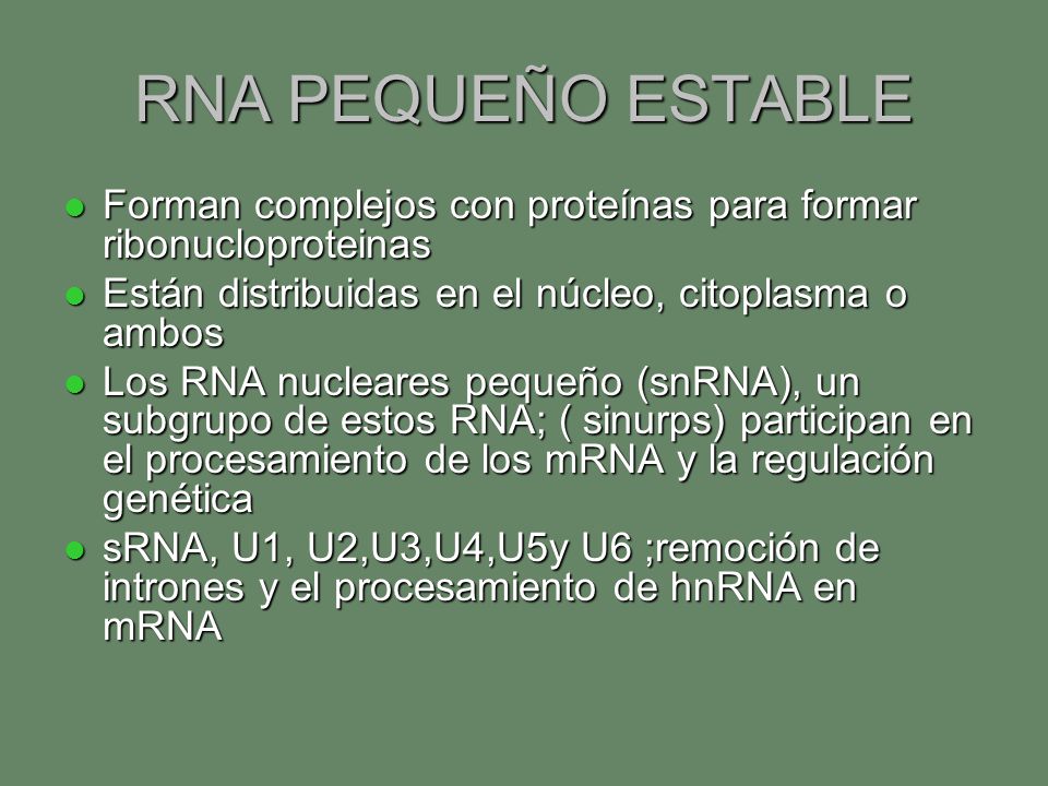 RNA PEQUEÑO ESTABLE Forman complejos con proteínas para formar ribonucloproteinas. Están distribuidas en el núcleo, citoplasma o ambos.