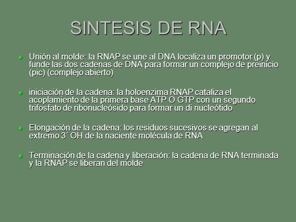 SINTESIS DE RNA