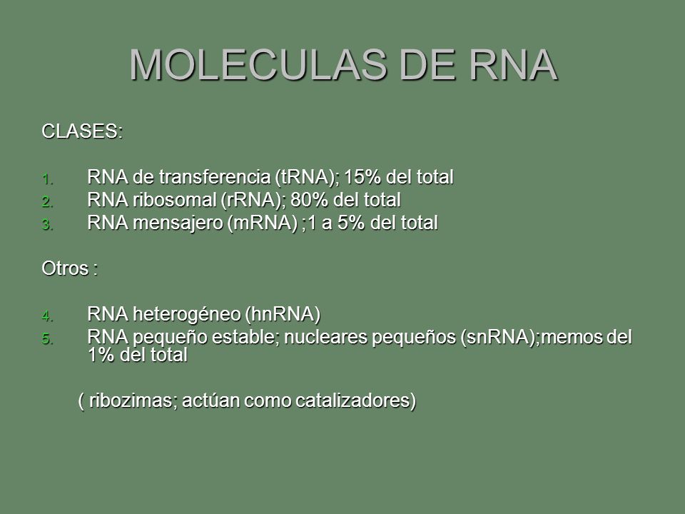 MOLECULAS DE RNA CLASES: RNA de transferencia (tRNA); 15% del total