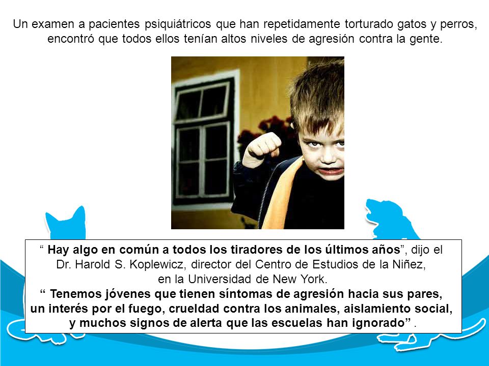 Un examen a pacientes psiquiátricos que han repetidamente torturado gatos y perros,