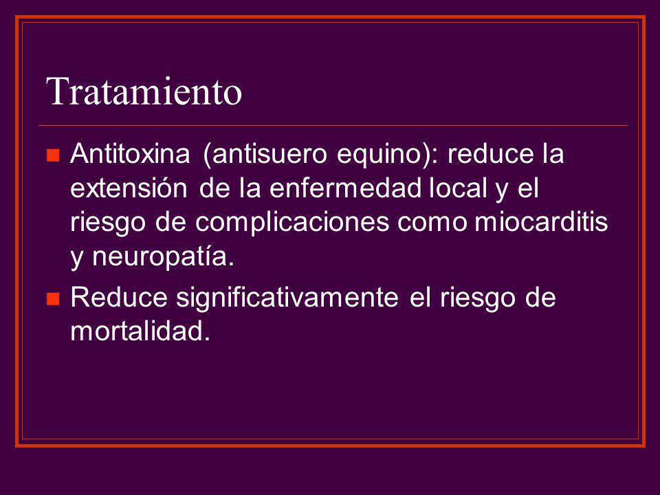 Tratamiento Antitoxina (antisuero equino): reduce la extensión de la enfermedad local y el riesgo de complicaciones como miocarditis y neuropatía.