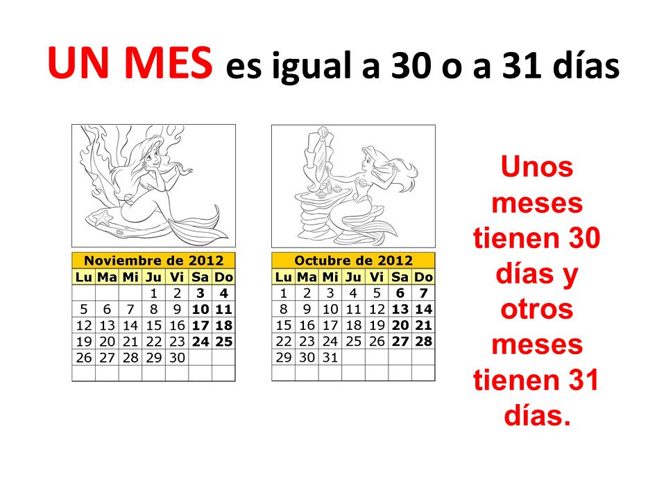 Unos meses tienen 30 días y otros meses tienen 31 días.