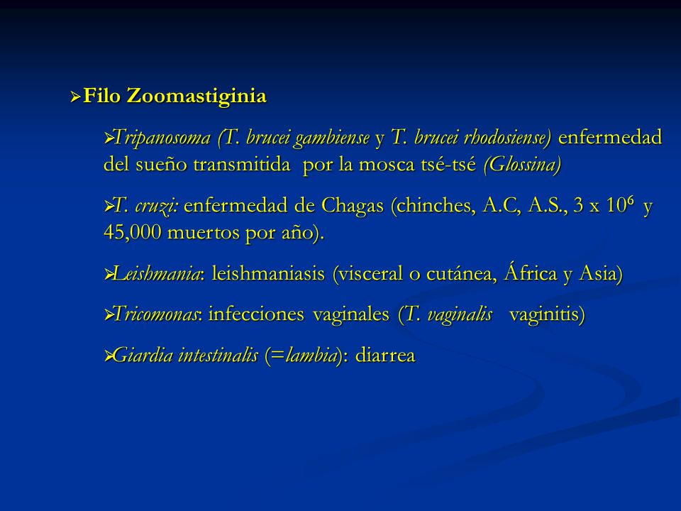 Filo Zoomastiginia Tripanosoma (T. brucei gambiense y T. brucei rhodosiense) enfermedad del sueño transmitida por la mosca tsé-tsé (Glossina)