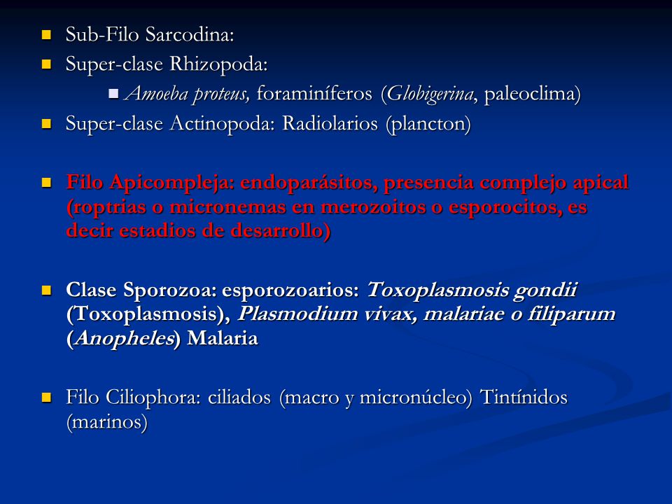 Sub-Filo Sarcodina: Super-clase Rhizopoda: Amoeba proteus, foraminíferos (Globigerina, paleoclima)