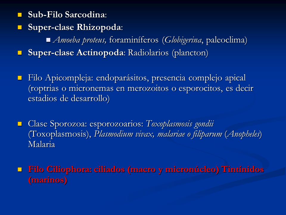 Sub-Filo Sarcodina: Super-clase Rhizopoda: Amoeba proteus, foraminíferos (Globigerina, paleoclima)