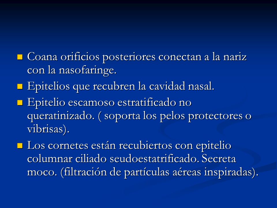 Coana orificios posteriores conectan a la nariz con la nasofaringe.