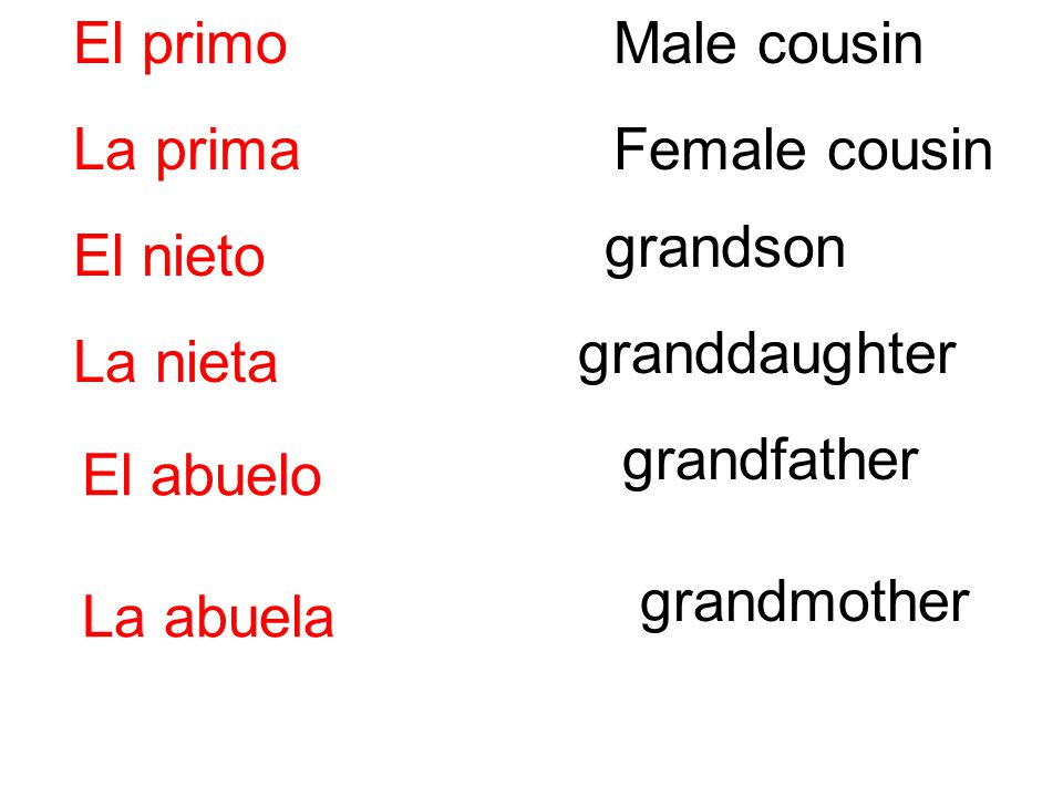 El primo La prima. El nieto. La nieta. Male cousin. Female cousin. grandson. granddaughter. grandfather.