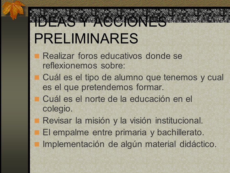 IDEAS Y ACCIONES PRELIMINARES