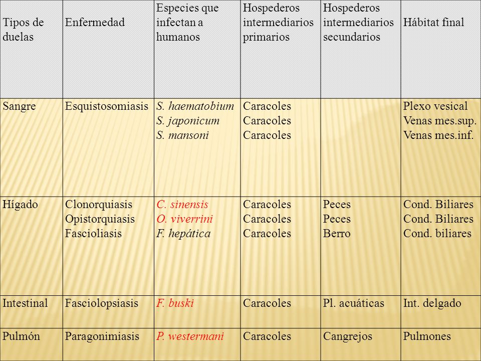 Tipos de duelas Enfermedad. Especies que infectan a humanos. Hospederos intermediarios primarios.