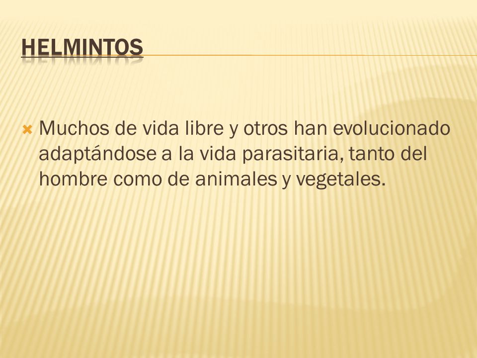 HELMINTOS Muchos de vida libre y otros han evolucionado adaptándose a la vida parasitaria, tanto del hombre como de animales y vegetales.