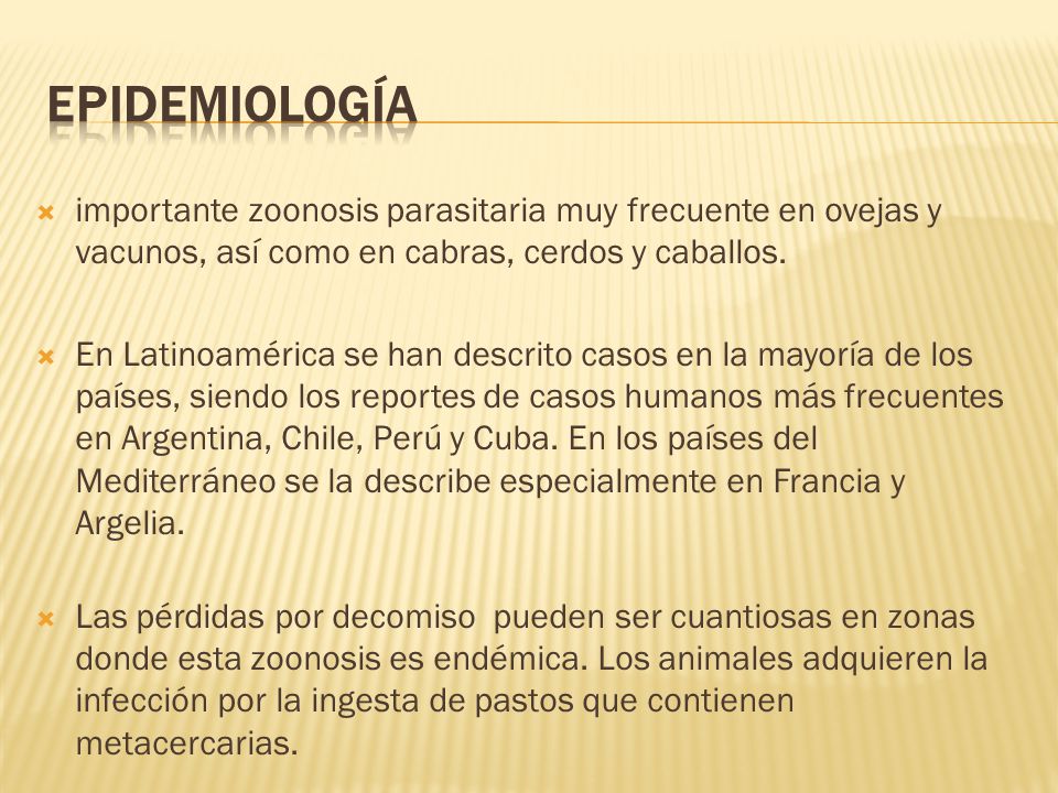 Epidemiología importante zoonosis parasitaria muy frecuente en ovejas y vacunos, así como en cabras, cerdos y caballos.