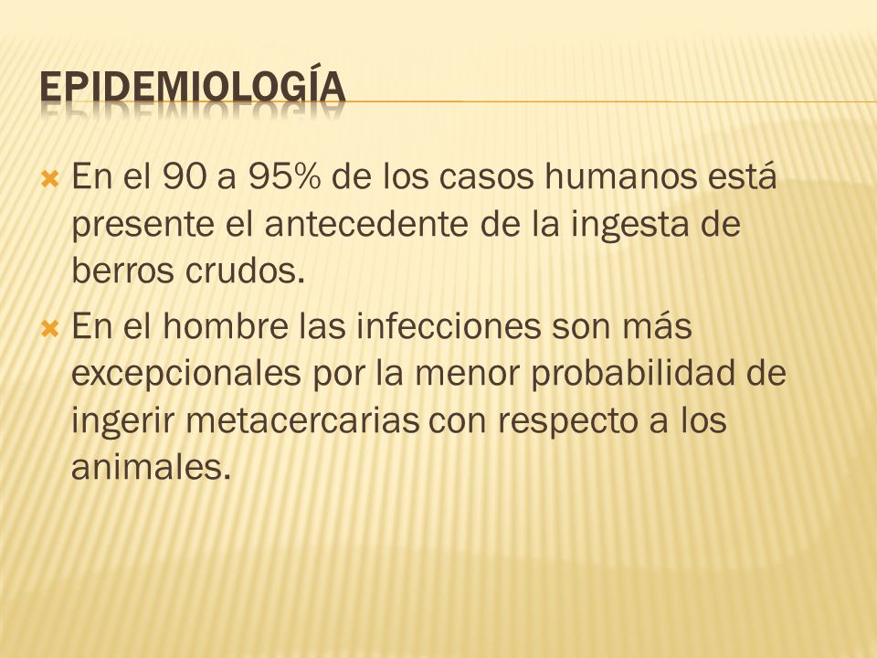 Epidemiología En el 90 a 95% de los casos humanos está presente el antecedente de la ingesta de berros crudos.