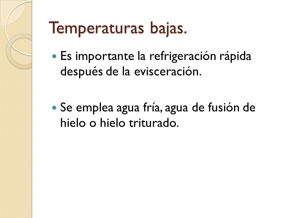 Temperaturas bajas. Es importante la refrigeración rápida después de la evisceración.
