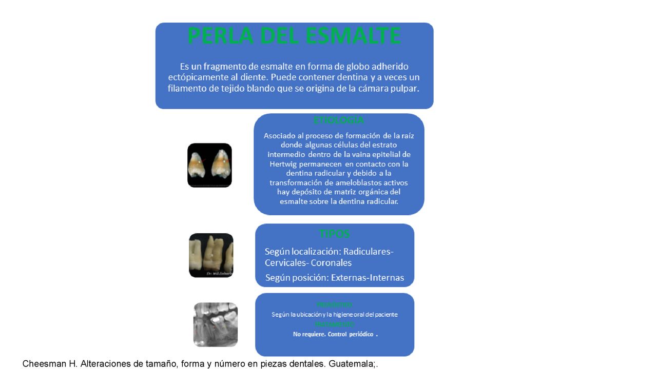 Cheesman H. Alteraciones de tamaño, forma y número en piezas dentales