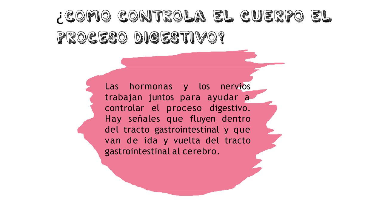 Las hormonas y los nervios trabajan juntos para ayudar a controlar el proceso digestivo.