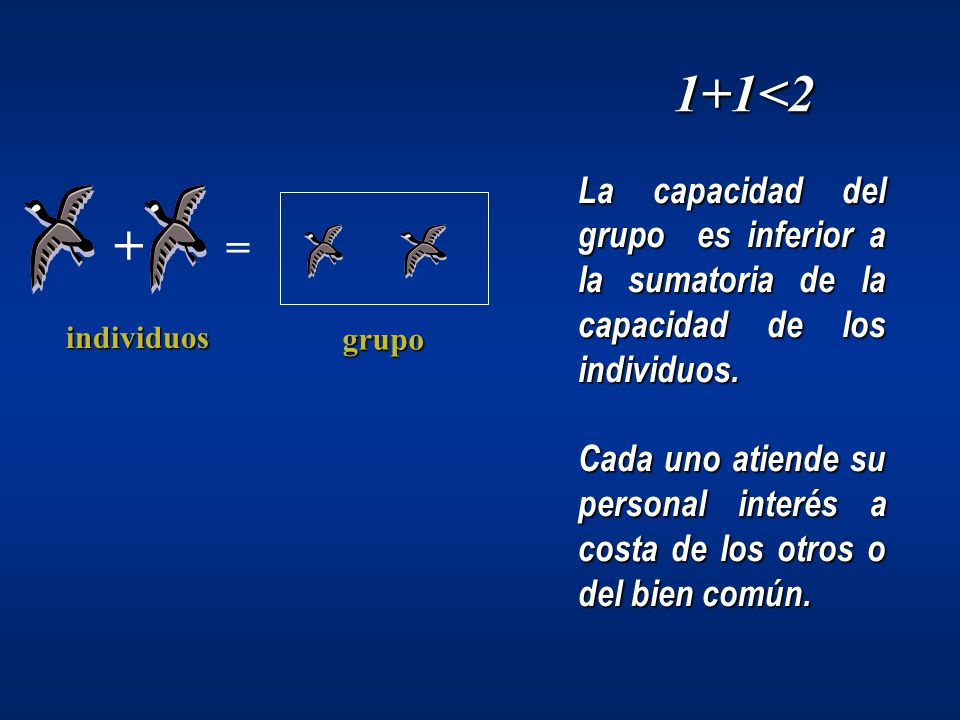 1+1<2 La capacidad del grupo es inferior a la sumatoria de la capacidad de los individuos.