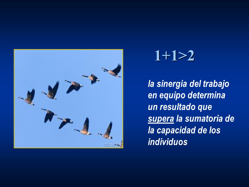 1+1>2 la sinergia del trabajo en equipo determina un resultado que supera la sumatoria de la capacidad de los individuos.