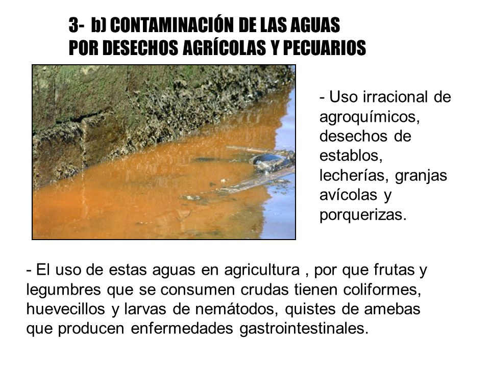 3- b) CONTAMINACIÓN DE LAS AGUAS POR DESECHOS AGRÍCOLAS Y PECUARIOS