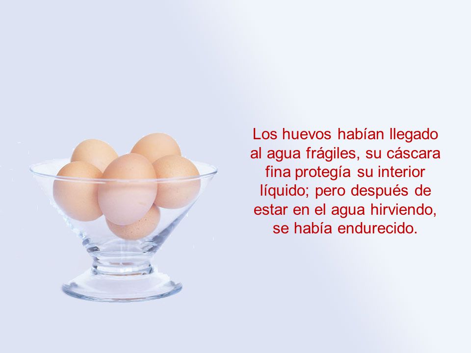Los huevos habían llegado al agua frágiles, su cáscara fina protegía su interior líquido; pero después de estar en el agua hirviendo, se había endurecido.