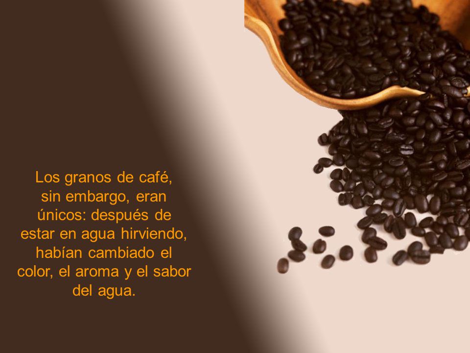 Los granos de café, sin embargo, eran únicos: después de estar en agua hirviendo, habían cambiado el color, el aroma y el sabor del agua.