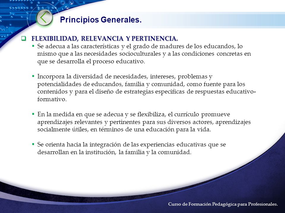 Principios Generales. FLEXIBILIDAD, RELEVANCIA Y PERTINENCIA.