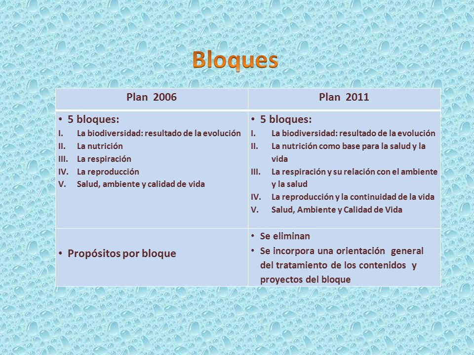 Bloques Plan 2006 Plan bloques: Propósitos por bloque