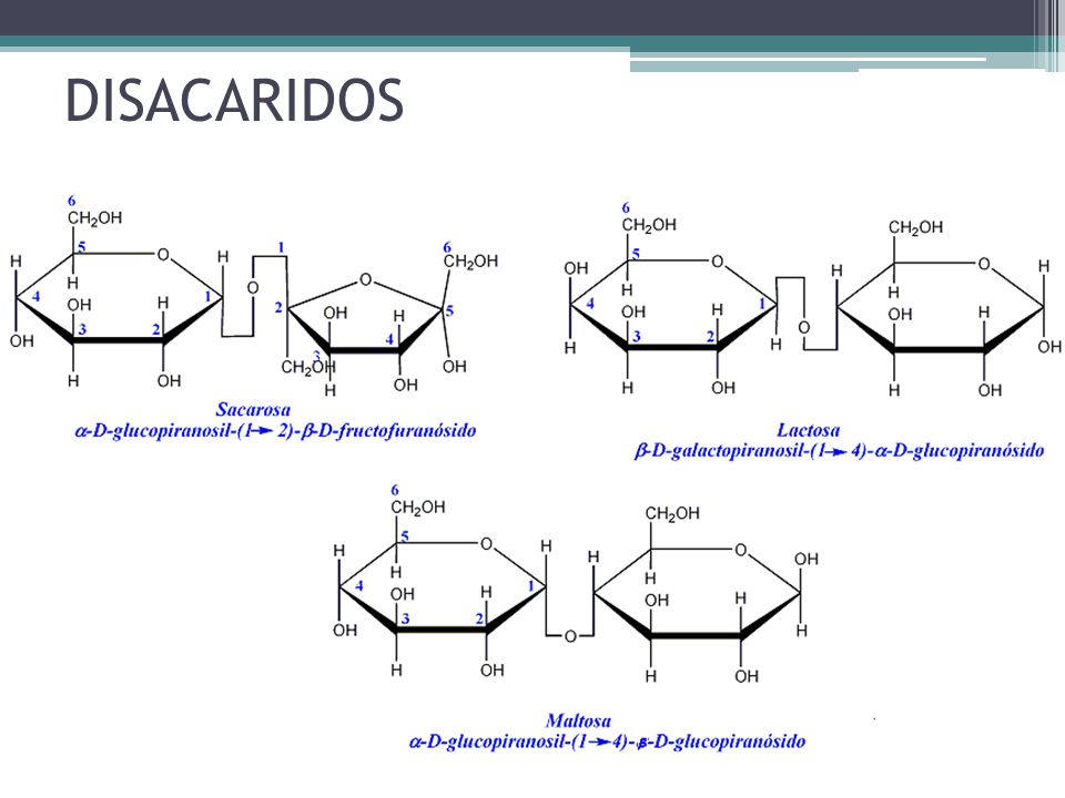 DISACARIDOS 2 monosacáridos unidos por una reacción de deshidratación (fig. 3,7)