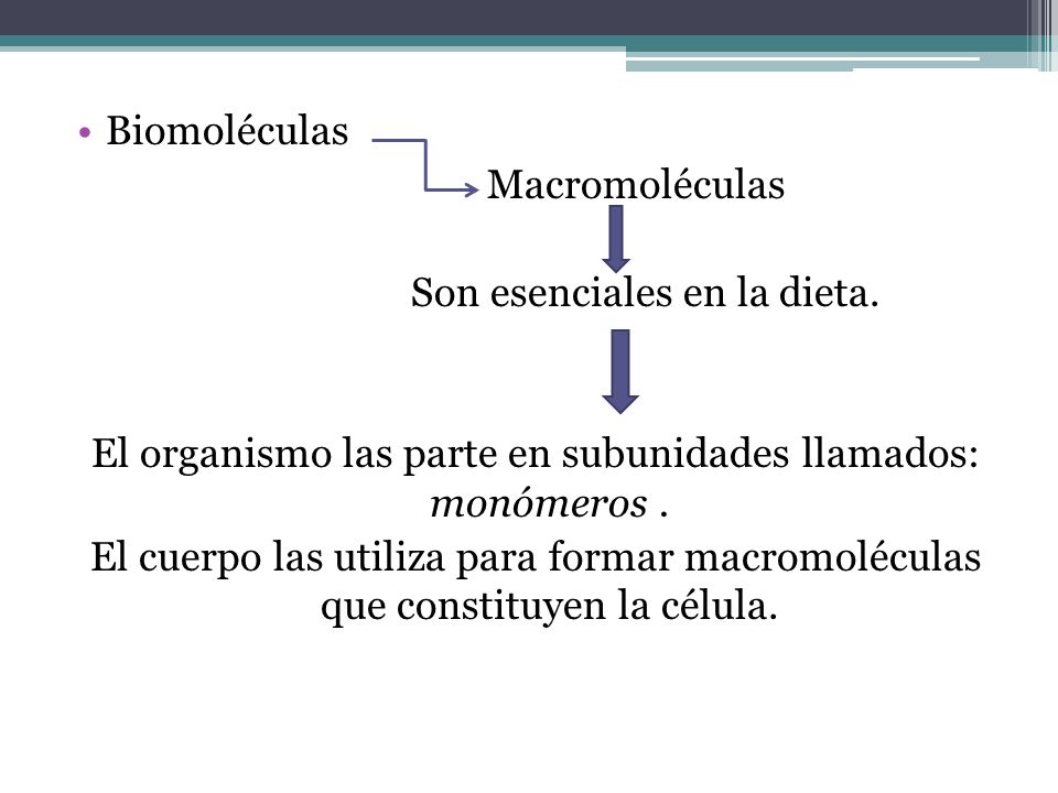 El organismo las parte en subunidades llamados: monómeros .