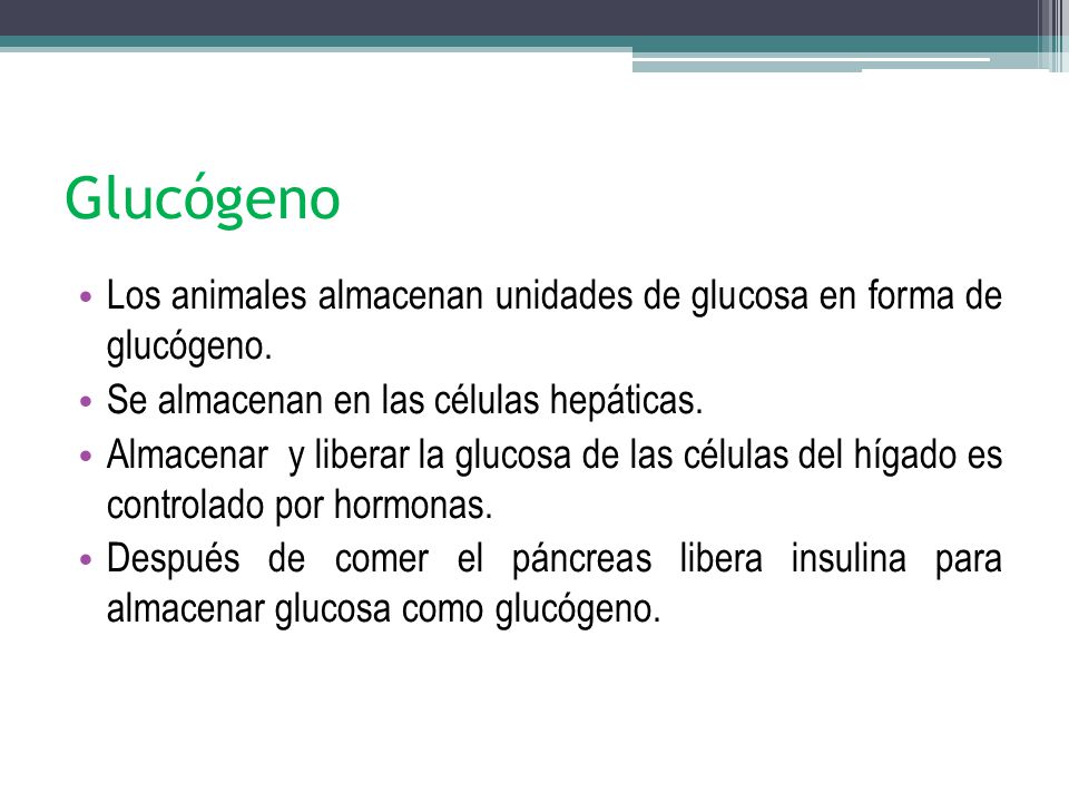 Glucógeno Los animales almacenan unidades de glucosa en forma de glucógeno. Se almacenan en las células hepáticas.