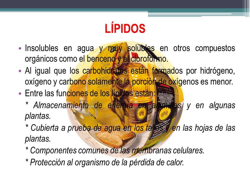 LÍPIDOS Insolubles en agua y muy solubles en otros compuestos orgánicos como el benceno y el cloroformo.