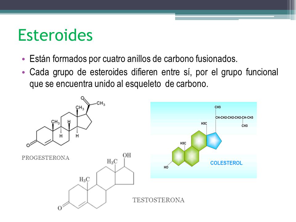 Esteroides Están formados por cuatro anillos de carbono fusionados.