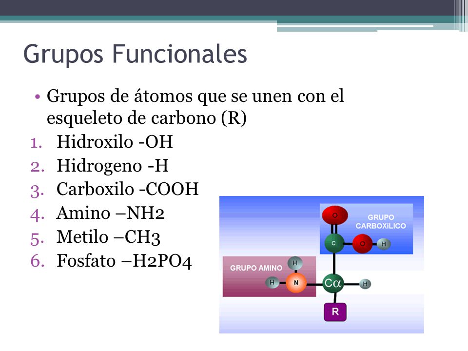Grupos Funcionales Grupos de átomos que se unen con el esqueleto de carbono (R) Hidroxilo -OH. Hidrogeno -H.
