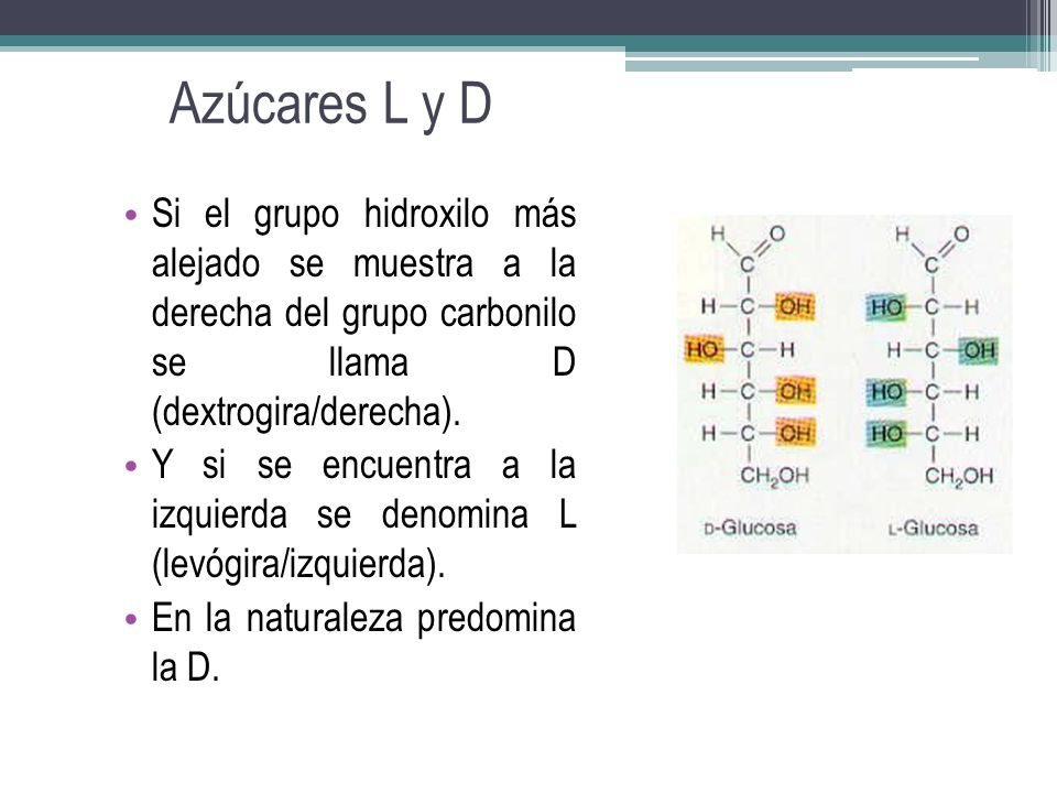 Azúcares L y D Si el grupo hidroxilo más alejado se muestra a la derecha del grupo carbonilo se llama D (dextrogira/derecha).